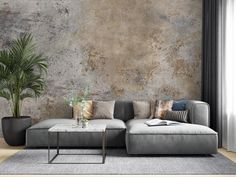 a living room with a couch, coffee table and potted plant on the floor