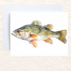 a painting of a fish on a white background