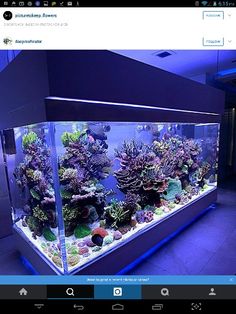 an aquarium with many different types of fish in it