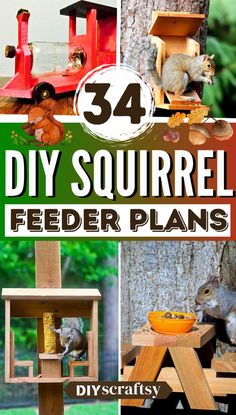 diy squirrel feeder plans that are easy to make and great for the kids in your life