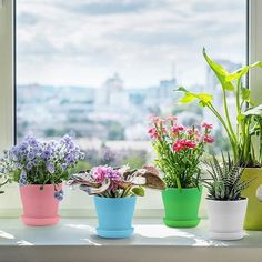 four potted plants on a window sill in front of a cityscape