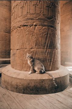 a cat sitting on top of a stone pillar in front of some writing and symbols