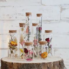 several glass jars with flowers in them sitting on a tree stump