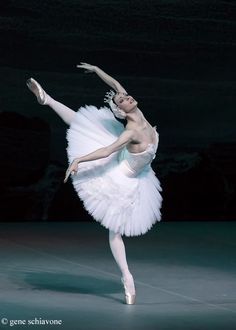 Olga Smirnova in Swan Lake Olga Smirnova, White Tutu, The Ballerina, Swan Lake, Ballet, Lake, White