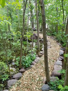 a path in the woods with rocks and trees on both sides, leading to a small stream