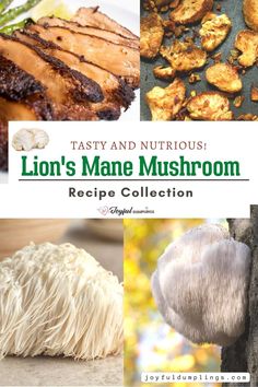 the lion's mane mushroom recipe collection includes mushrooms, mushrooms and other food items