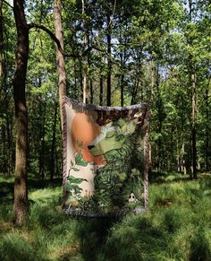 a blanket is hanging in the middle of a forest with trees and grass around it