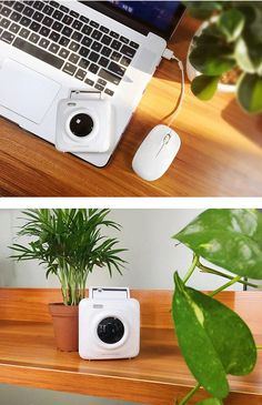 two pictures of an open laptop on a desk with a plant in front of it