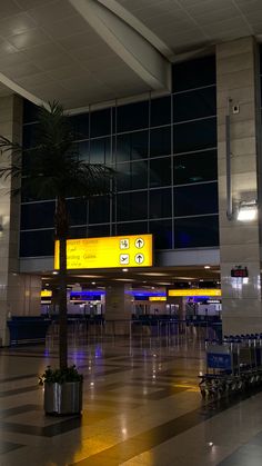 an airport terminal with luggage carts and palm tree in the foreground at night time