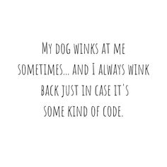 a dog winks at me sometimes and i always wink back just in case it's some kind of code