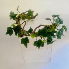 this REAL wood half crown crafted with love and adorned with silk ivy leaves. Natural and elegant for any occasion. Ivy Headpiece, Leave Crown, Branch Crown, Plant Crown, Vine Crown, Ivy Crown, Wood Crown, Ivy Costume, Green Crown