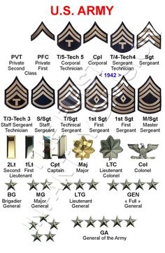 the u s army rank insignias and their names are shown in red, white, and blue