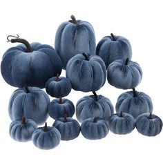 blue velvet pumpkins are arranged on a white background