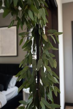 a green plant hanging from the side of a wooden pole in front of a bed