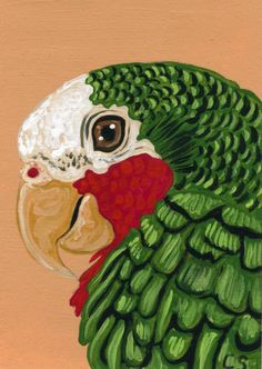 a painting of a green parrot with white and red on it's head is shown