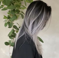 Grey Ends Hair, Silver Ends Hair, Platinum Silver Balayage On Dark Hair, Dark To White Ombre Hair, Black And White Balayage, Blonde Edgy Hair, Silver Hair Black Roots, Dark Brown To White Ombre Hair, Silver Balyage Short Hair