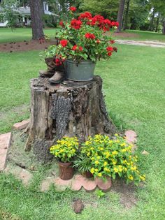 a tree stump with flowers growing out of it and another potted plant in the middle