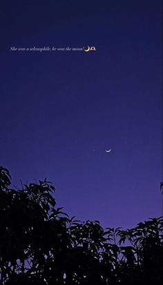 the moon and venus are seen through some trees