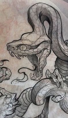 Beautiful Pencil Drawings, Snake Art, Tattoo Portfolio, Tattoo Life, Snake Tattoo, A Snake