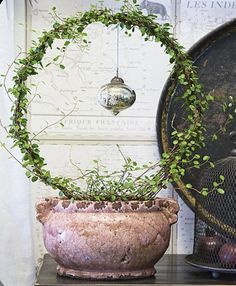 a potted plant sitting on top of a wooden table next to a metal ball