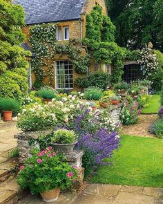 a garden with lots of flowers and plants growing around the house's front yard