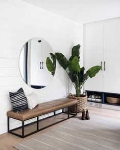 a room with a bench, mirror and plant in it