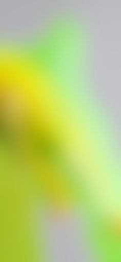 an abstract blurry background with yellow and green colors