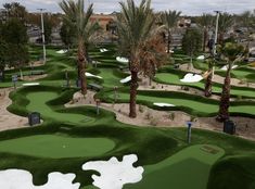 an artificial golf course with palm trees in the background