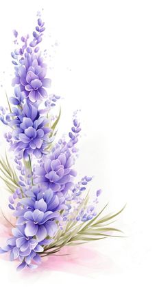 a bunch of purple flowers on a white background