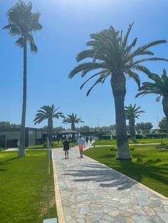 two people walking down a path between palm trees on a sunny day in the park