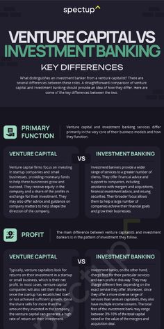 the info sheet for venture capital's investment banking