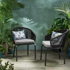 two chairs sitting next to each other in front of plants