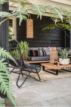 an outdoor living area with furniture and plants