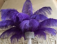 purple ostrich feathers hanging from the ceiling