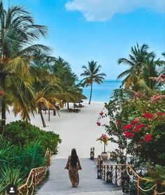 a woman walking down the stairs to an ocean side resort with palm trees in the background