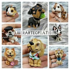 there are many pictures of small dogs in different poses on the same page, each with their own dog's name