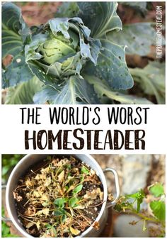 the world's worst homesteader is in this postcard with an image of broccoli and cauliflower