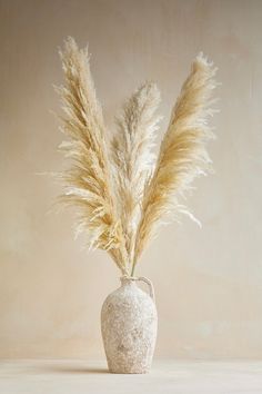 a white vase with some dry grass in it