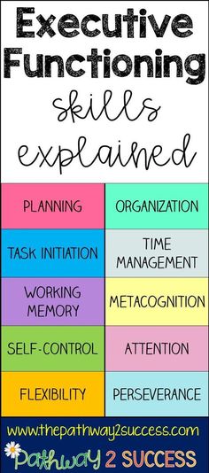 Working Memory, Executive Functioning