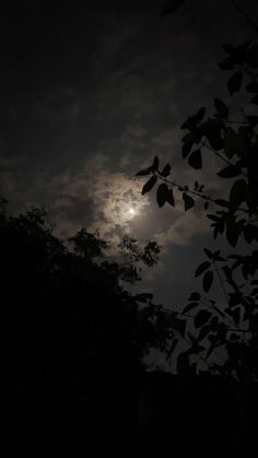 the full moon is shining brightly in the dark night sky over some trees and bushes