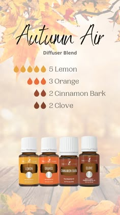 Young Living Oils Recipes, Living Oils Recipes, Scentsy Oils, Fall Essential Oils, Romans 12 12, Doterra Diffuser Blends, Air Diffuser