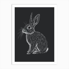 a black and white drawing of a rabbit on a dark background with the words,