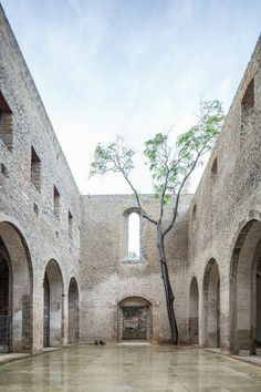 an empty courtyard with stone walls and arched doorways is shown in this image, there is a tree growing out of the ground