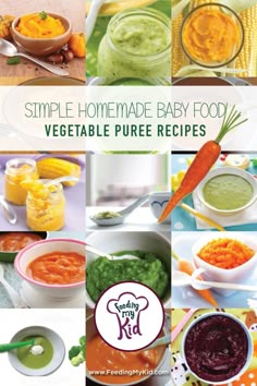 the cover of simple homemade baby food vegetable puree recipes, including carrots and peas