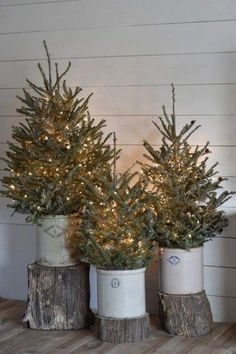 three potted christmas trees sitting on top of a wooden table next to each other