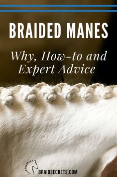 a white horse with text that reads braided manes why how to and expert advice