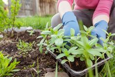 a woman kneeling down in the grass with gardening gloves on