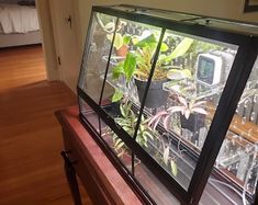 a fish tank filled with plants sitting on top of a wooden table