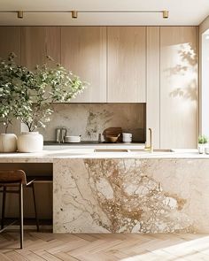 a kitchen with marble counter tops and wooden cabinets, along with a plant in the center