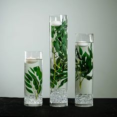 three vases with plants in them sitting on a table next to candles and water